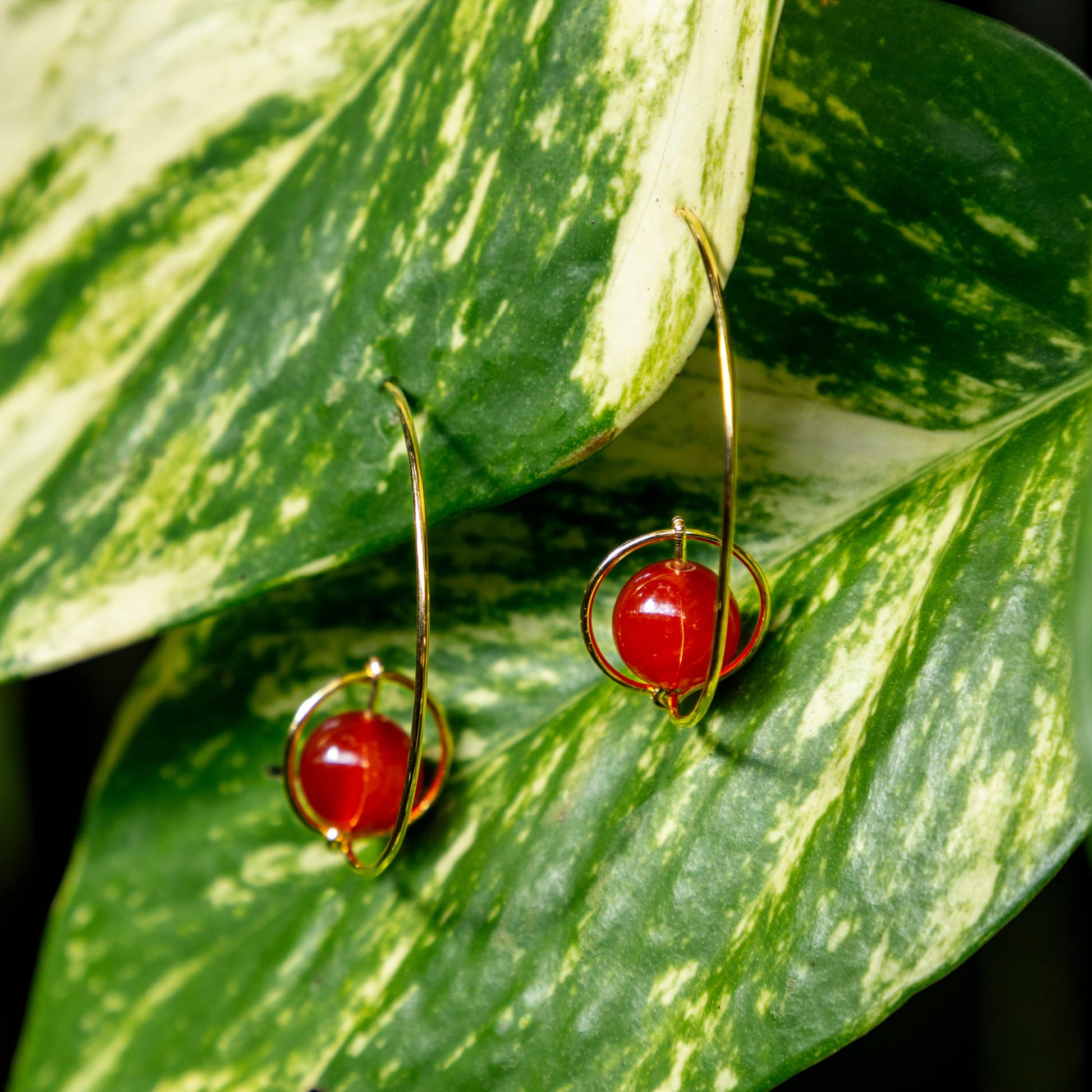 Calypsos Island Boutique Earrings Mars – Carnelian Beaded Hoop Earring